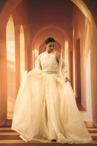 Organza Dupatta with Floral Moif and Jasmine Texture