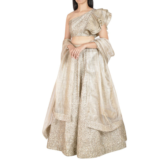 Light beige lehenga and choli with nakshi embroidery