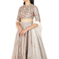 Embroidered lehenga and choli with dupatta