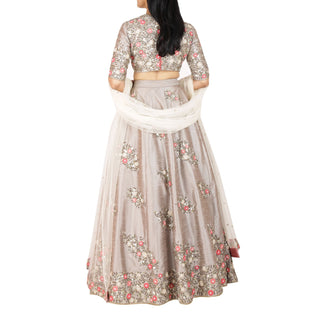 Embroidered lehenga and choli with dupatta