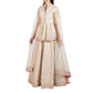 Embroidered lehenga and peplum top with dupatta